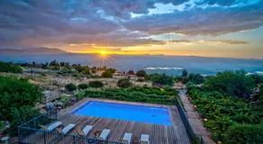 Vibe Naftali Estate - Image 4