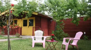Chalet aux pied des vignes - Image 3