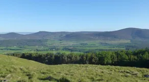 Whitehill - Image 5