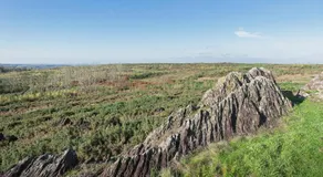 Ker Cado - Chambre d'hôtes - Image 4