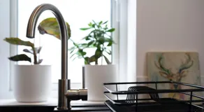 Bower Apartment - Image 5