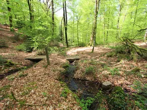 Feriehus nær Lichtenberg Slot - Image 5