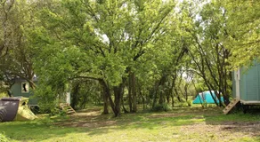 The Tawny Shepherd Hut, Whitehouse Farm - Image 4