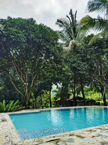 Rea's Bamboo Resort - Image 2