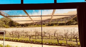 B Farm - Image 4