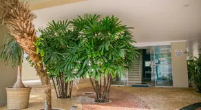 Paramar Praia Grande - Image 4