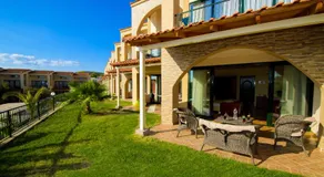 Village Mare - Image 3