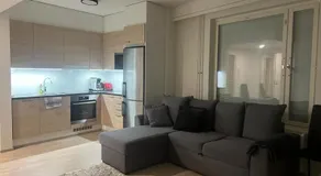 Modern city apartment with Sauna nearby the Airport - Image 2