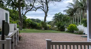 Eight Palms - Image 4