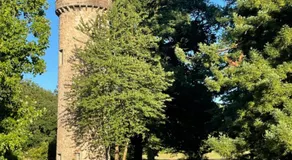 Domaine de Buchignon - Image 3