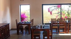 Thour Nature Resorts - Jawai Leopard Safari Camp - Image 2
