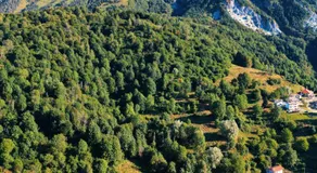 La Vrata Gialla - Image 2