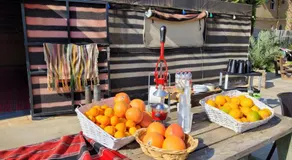bedouin guest house - Image 4
