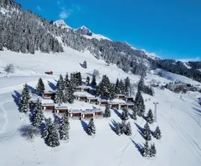 Leysin Lodge - Image 4