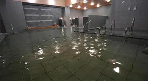 Natural Hot Spring Hotel KINSHAY - Image 5