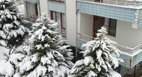 Yeşil ve huzur dolu bir daire - Image 3