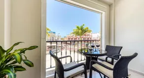 Amarre Palm - Image 3