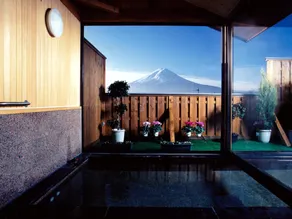 Lake Villa Kawaguchiko - Image 2