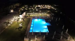 L'Ulivo e la Stella - Image 4