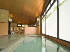 Ryusendo Onsen Hotel - Image 2