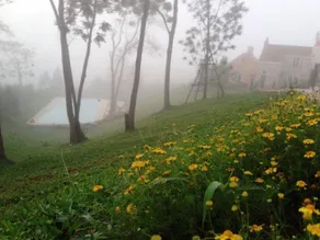 La Purinee Khaoyai - Image 4