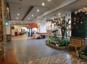 Yangji Pine Resort - Image 3