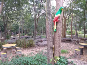 Raisubsomboon Resort - Image 4