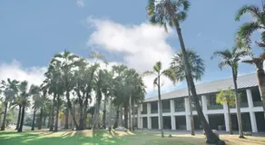 Saenpalm training home แสนปาล์ม เทรนนิ่ง โฮม - Image 5