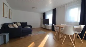 Apartment for 7, close to Zurich and Luzern, free private parking - Image 3