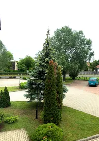 Hotel Imperial Gyogyszallo es Gyogyfurdo - Image 2