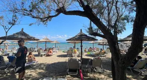 Luxury Apartment in Kato Assos - Villa Orangerie - Image 4