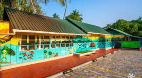 Kampify kochi - Image 5