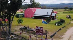 Mountview Wines and Accommodation - Image 3