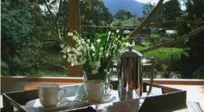 Hollyhock - Image 4