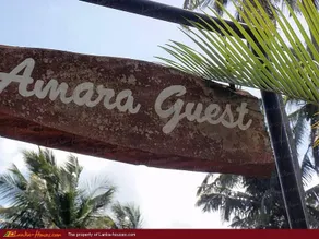 Amara Guest - Image 4