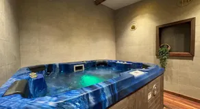 Maison Moana- Jaccuzi - Groupama Stadium LDLC Arena Eurexpo - Image 3