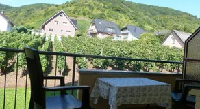 Wein- und Gästehaus St. Aldegundishof - Image 5