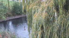 Zimmervermietung zum See - Image 2