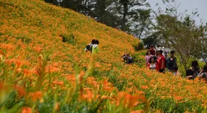 Qingshan Homestay - Image 5