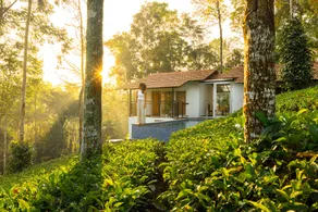 Tealawn Pool Villa, Munnar - Image 4