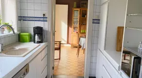 Spelaan - Image 3