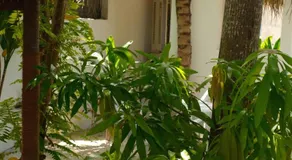 Noorani Retreat Dhiffushi - Image 5