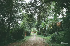 Vuon Thu Guest House Garden - Image 2