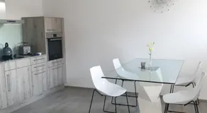 Business Apartment Turgi - Image 3
