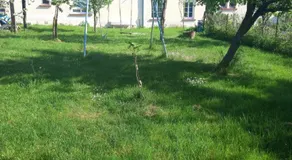 Maison charmante à Chepy avec jardin et piste de pétanque - Image 4