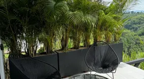 Hacienda moraleja - Image 4
