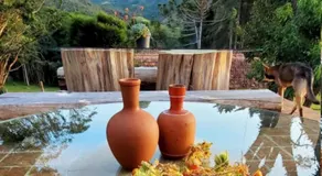 IVOS Hostel & Camping - Image 4