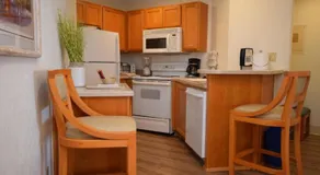 Laguna Surf - Image 5