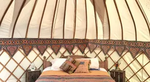 Glastonbury Wild Glamping - Image 2