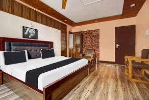 Collection O Rajbagh - Image 2
